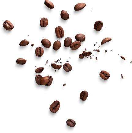 Isolated Cutout PNG